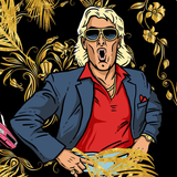 Ric Flair Nature Boy