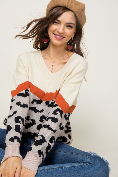 Silvia V-neck Leopard Sweater